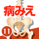 病気がみえる11