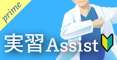 実習Assist