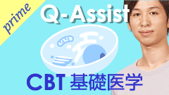 QACBT基礎