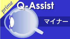 QAマイナー